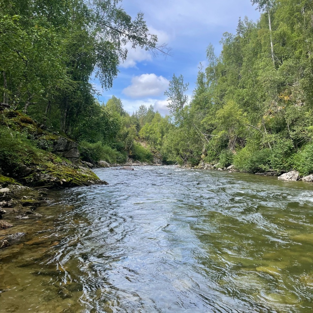 Meet your Posher, Shira